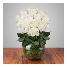 White Roses Flower Vase